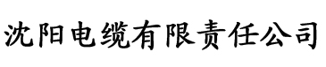 经典千人斩日产手机版电缆厂logo